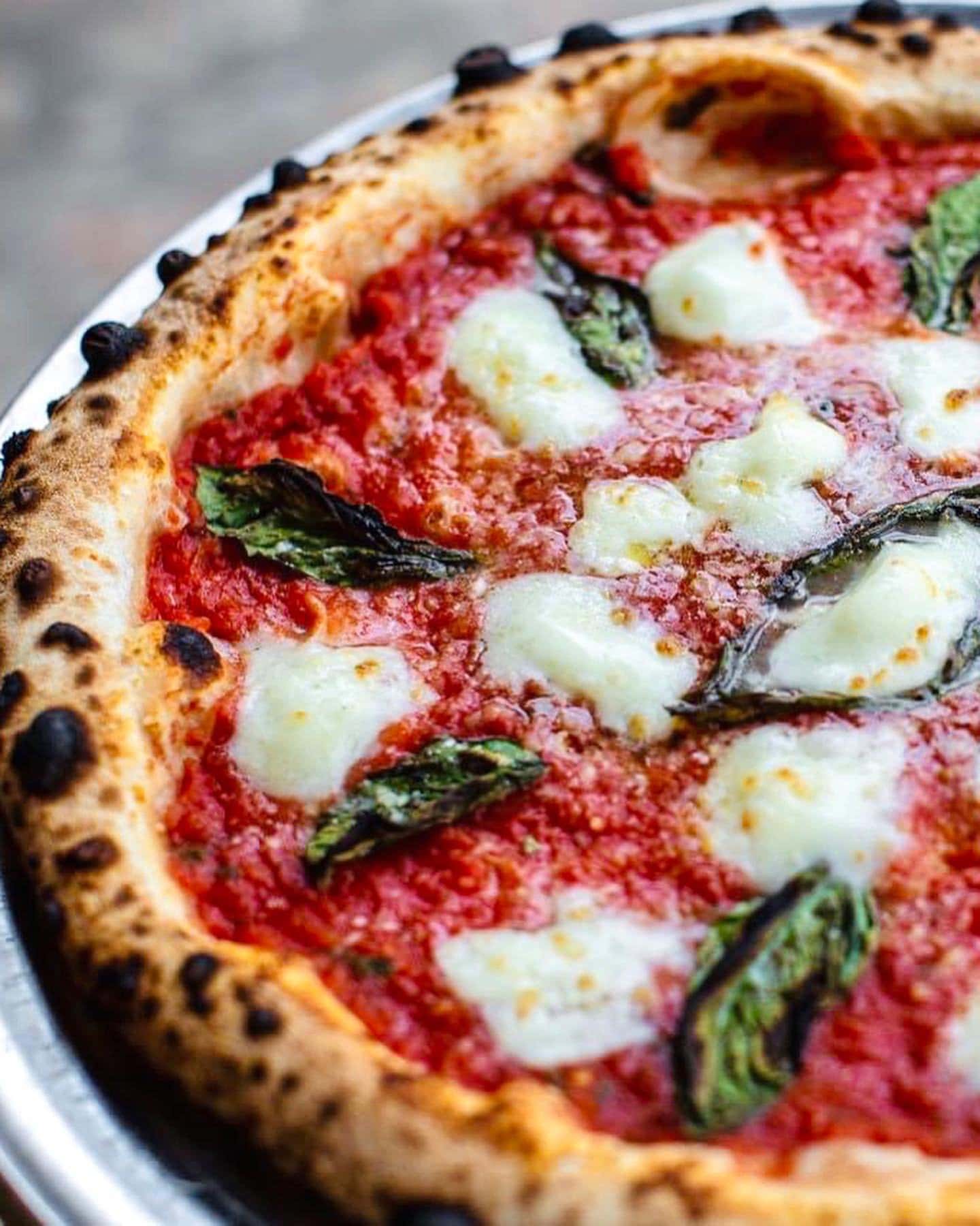 V Pizza Authentic Italian Brick Oven Pizza & Restaurant