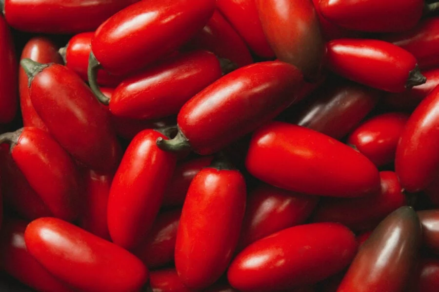 san marzano tomatoes